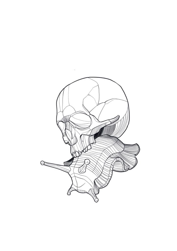 Snail, Skullhouse